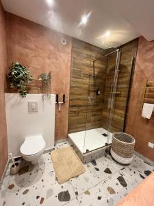 La salle de bains est pourvue de toilettes et d'une douche en verre. dans l'établissement Appartement centre historique, idéal couple, à Hyères