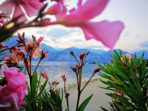 a view of the water and flowers on a beach at Hotel Drago - Garda Lake Collection in Brenzone sul Garda