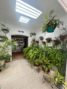 Ogród w obiekcie VILLA VEGUETA