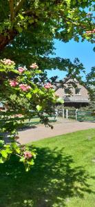 een boom met roze bloemen voor een huis bij Little Farm House, 25164 in Bunde