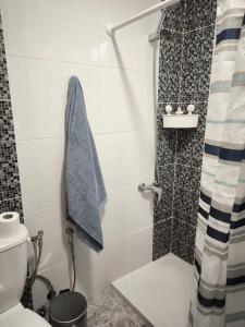 a small bathroom with a shower and a toilet at Casa María in Santa Cruz de Tenerife