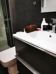bagno con lavandino, servizi igienici e specchio di Apartment Ruby a Lloret de Mar