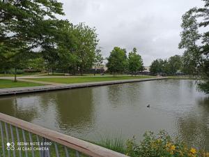a duck swimming in a pond in a park at Médina maison 4 chambres 100m2 in Beuvrages