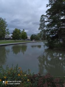 un laghetto in un parco con alberi sullo sfondo di Médina maison 4 chambres 100m2 a Beuvrages