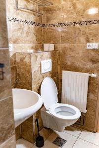 a bathroom with a toilet and a sink at Hotel Taurus in Ostrava