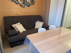 Posezení v ubytování Chatel - appartement 2 pièces rénové - 4 personnes - proche centre - ménage inclus