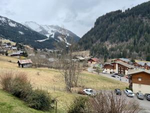 eine Kleinstadt mit Autos in einem Bergdorf in der Unterkunft Charmant appartement 2 pièces - 4 personnes in Châtel