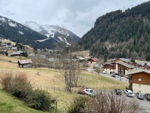 a small town with cars parked in a mountain village at Charmant appartement 2 pièces - 4 personnes in Châtel