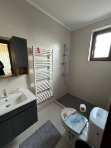 ein Bad mit einem Waschbecken, einem WC und einer Dusche in der Unterkunft Pensiunea Sun Victor in Baile Felix
