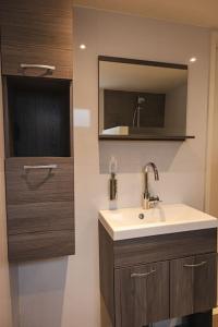 a bathroom with a sink and a mirror at Chalet op familiepark Veluws Hof op de Veluwe in Hoenderloo