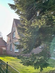 a brick house with a tree in front of it at Casa Corina in Norden +10 photos