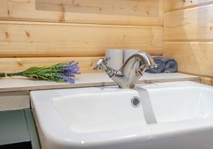 a bathroom sink with a faucet and some towels at Foxglove Cabin in Devils Bridge