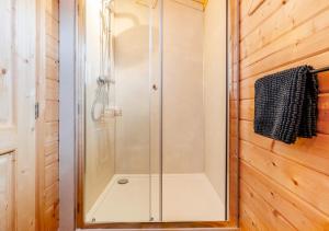 a shower with a glass door in a bathroom at Bluebell Cabin in Devils Bridge