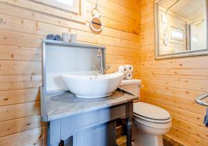 a bathroom with a sink and a toilet at Rose Cabin in Devils Bridge