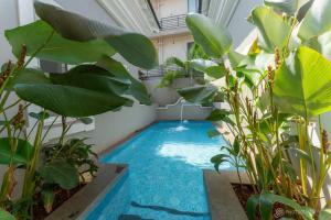 a small pool in a room with plants at Love Story Villas, Baga-Private Pool Villas in Arpora