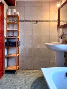 a bathroom with a sink and a shelf next to a sink at Mansarda in Cluj-Napoca