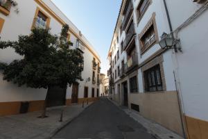 Nabolaget omkring lejligheden eller i nærheden