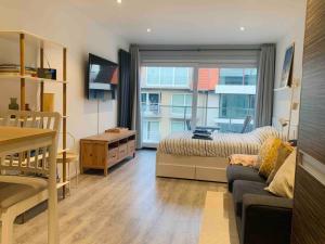 a small living room with a bed and a window at Chez Pascal - Nieuport in Nieuwpoort