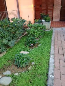 アレッツォにあるLe Ortensieの家の脇に緑草や植物が植えられた庭園