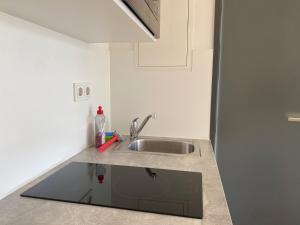 a kitchen with a sink and a counter top at Simplex Apartments Am Ludwigsplatz in Karlsruhe