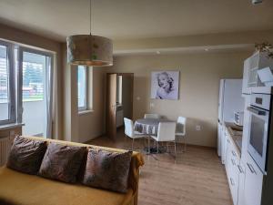 Kuchyň nebo kuchyňský kout v ubytování Apartmán Greenside + 8 fotografií