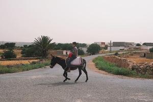 a man riding a horse down a road at Authentic Moroccan Family Homestay 