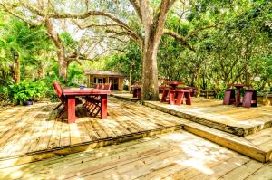 a wooden deck with picnic tables and a tree at Exclusive Lake Tiny House in Beautiful Japanese Garden in Homestead +39 photos