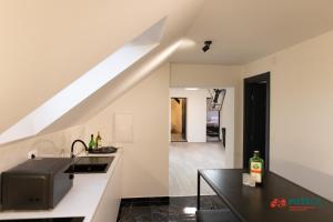a kitchen with a sink and a counter top at Apartment Eden in Požega +15 photos