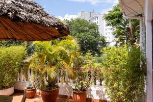 Zahrada ubytování Bonsai Villa