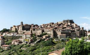 a town on top of a hill with houses at La Casa del Panza con vista mare in Isola del Giglio