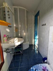 a bathroom with a sink and a shower at Ferienhaus Blick auf die Müritz in Sietow