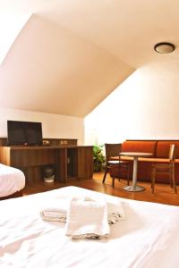 TV a/nebo společenská místnost v ubytování Hotel Kácov