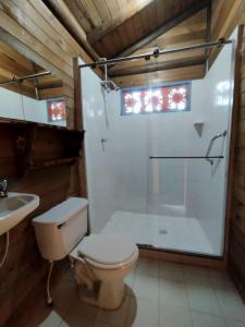 La salle de bains est pourvue de toilettes, d'une douche et d'un lavabo. dans l'établissement Hotel Karlaká Calarcá Quindio, à Calarcá
