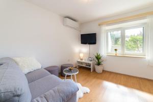 a living room with a gray couch and a window at Apartment Fiore in Rogotin