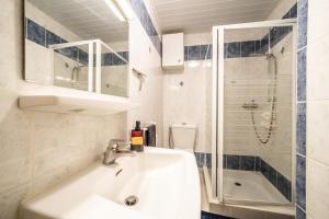 a bathroom with a sink and a shower at Chez les Charles in Bernex