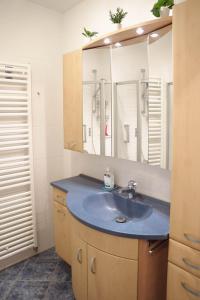 a bathroom with a sink and a mirror at City Appartement Salzburg in Salzburg