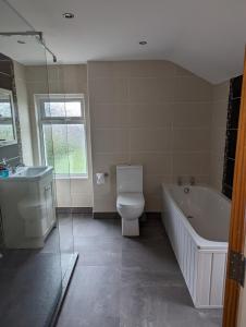 a bathroom with a toilet and a tub and a sink at Prospect House in Bangor +16 photos