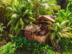 a small house in the jungle with palm trees at west indies cottage in Pointe-Noire