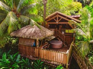 Mała chata ze słomianym dachem w dżungli w obiekcie west indies cottage w mieście Pointe-Noire