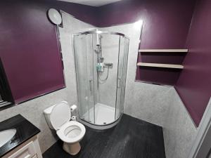 a purple bathroom with a toilet and a shower at Comfortable 1-Bed Apartment in Liverpool Sleeps 4 in Liverpool
