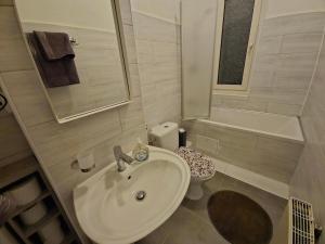 ein Bad mit einem Waschbecken und einem WC in der Unterkunft Flora furnished fair apartments in Essen