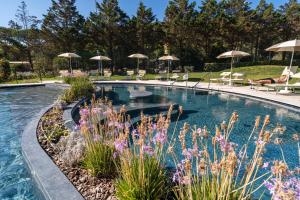 a pool with umbrellas and flowers in a yard at Club del Sole Stella del Mare Family Collection in Castiglione della Pescaia
