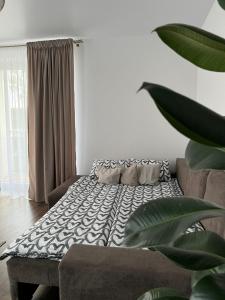 uma sala de estar com um sofá e uma planta em Saulės Tako apartamentai em Druskininkai