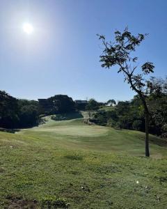 un árbol sentado en la parte superior de un exuberante campo verde en Residencia Campo Golf Altozano en Villahermosa