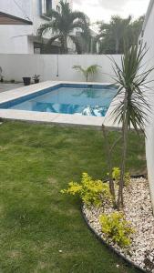 Residencia Campo Golf Altozano في فيلاهيرموسا: مسبح في ساحة فيها نخلة