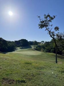 un arbre au milieu d'un parcours de golf dans l'établissement Residencia Campo Golf Altozano, à Villahermosa