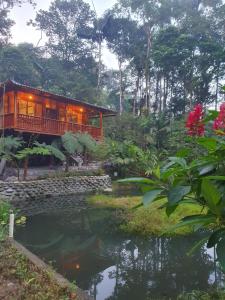 una casa en el árbol con un estanque delante de ella en Finca Las Palmas Ecolodge en Puyo