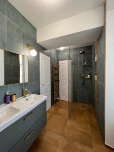 bagno con lavandino e doccia di Le SAN - Chambre d'hôtes INCLUSIVE & ÉCORESPONSABLE a Beauchery