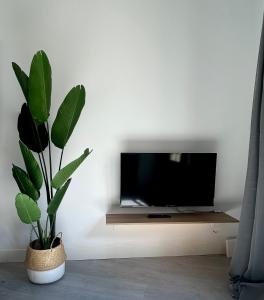 a living room with a tv and a plant at Centric 3ºI in Madrid