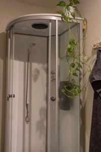 a shower with a glass door and a plant at Studio An in Workum